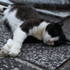 冷んやり♪