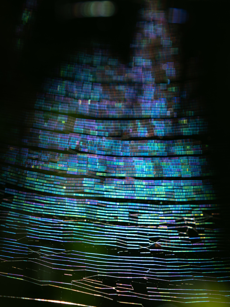 蒼の漣