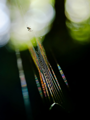 静かに終幕の音色を。。