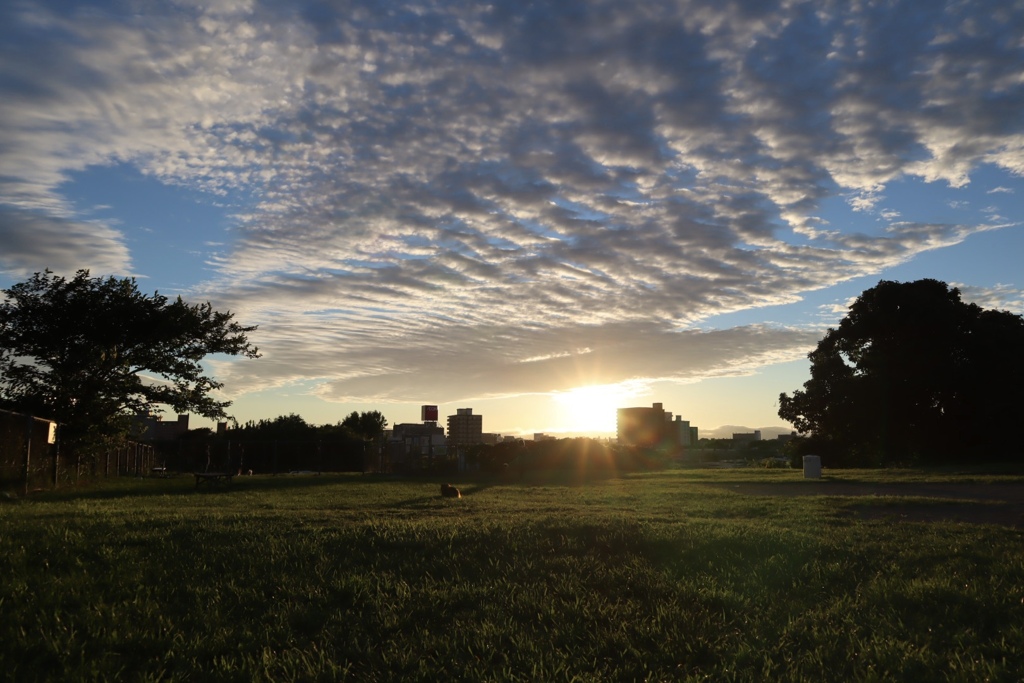 雲と夕日とドックラン