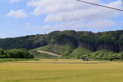 北海道 檜山郡厚沢部町