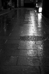 京都慕情 Vl