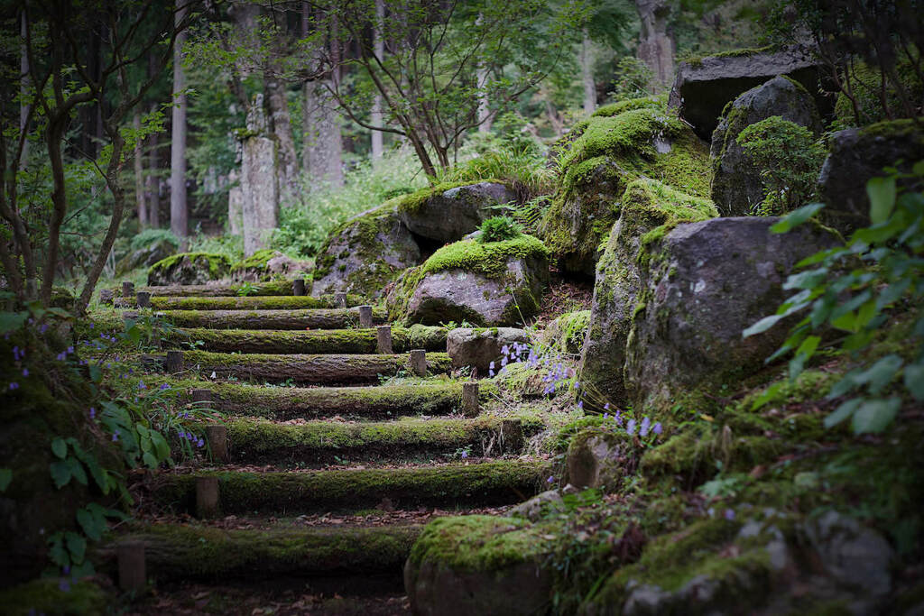 長安寺 ll