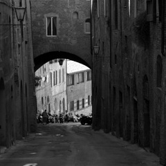 @SIENA