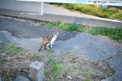 何か？