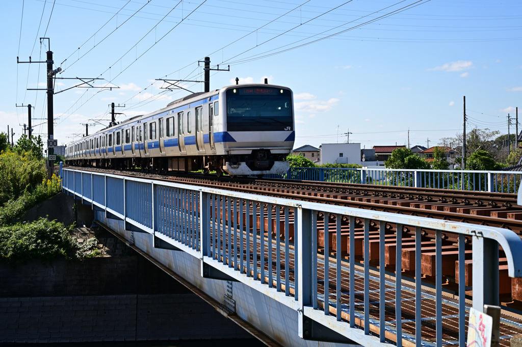 散歩1