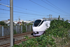 散歩3