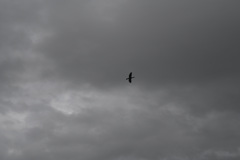 上昇