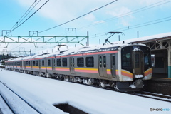 各駅停車 新潟行き