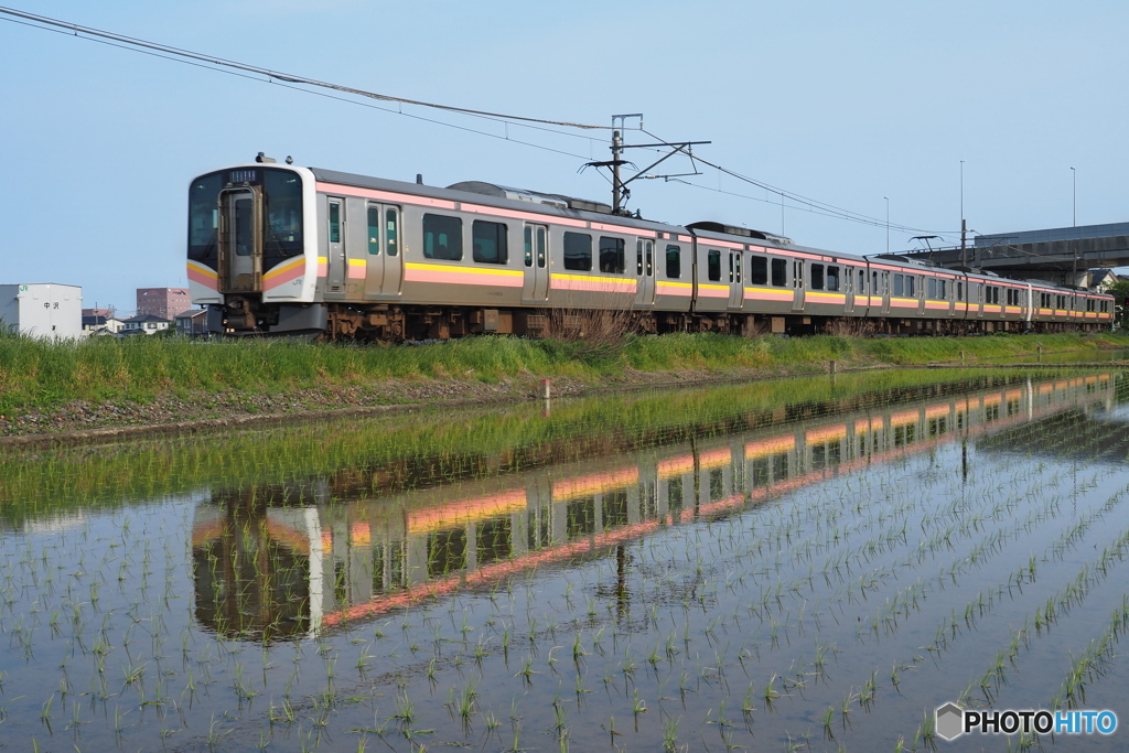 田んぼの水鏡