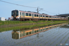 田んぼの水鏡