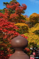 もみじ谷-9