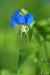 何想う 