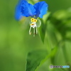 何想う 