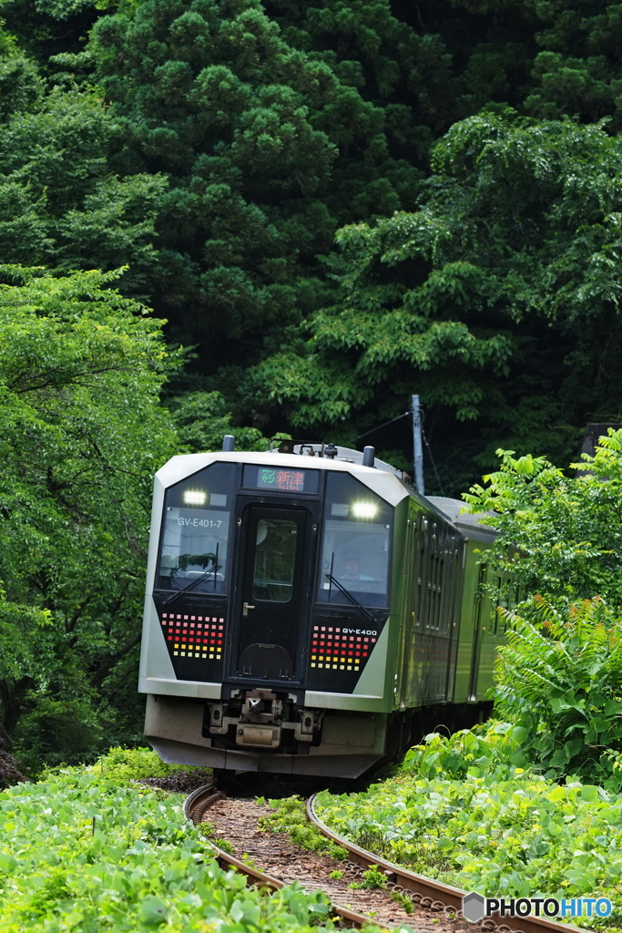 深緑行くワンマン