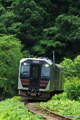 深緑行くワンマン
