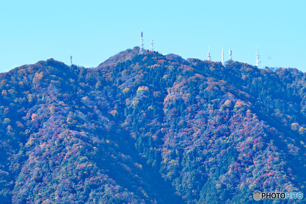 色づく山頂は電力会社と放送局の鉄塔
