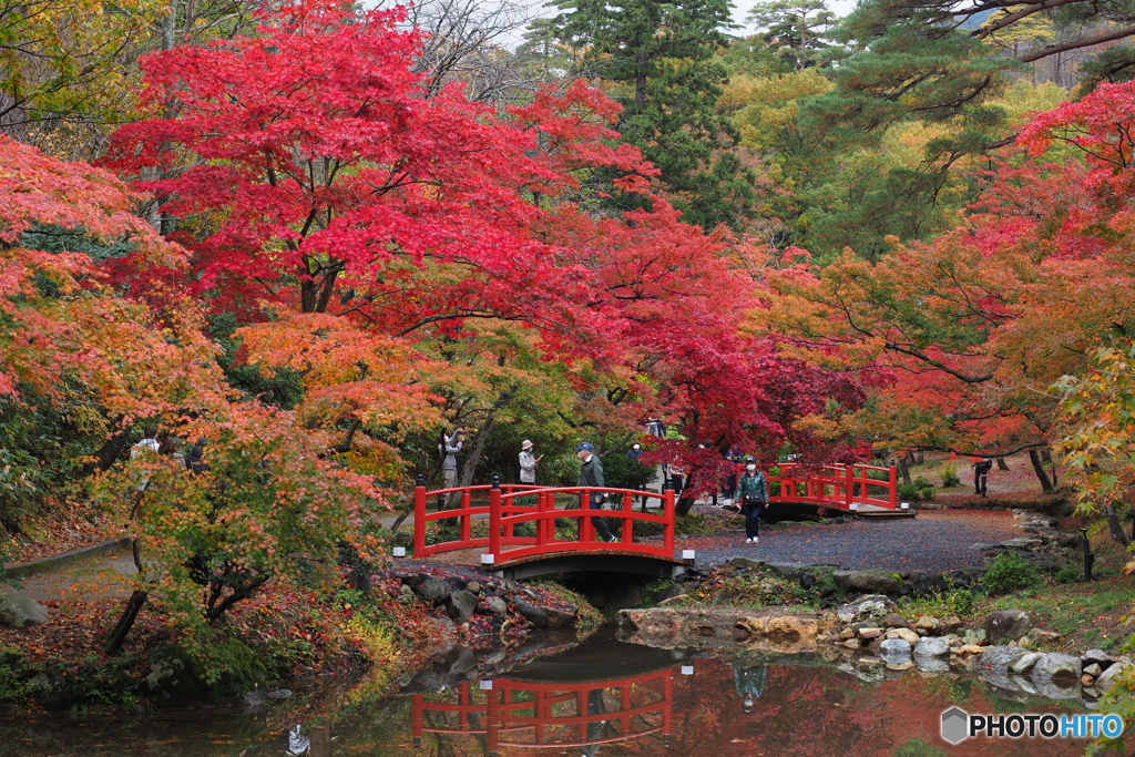 赤い橋と紅葉 