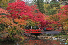 赤い橋と紅葉 