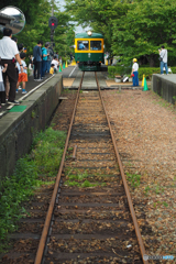 走れ！ かぼちゃ電車…往復100ｍ