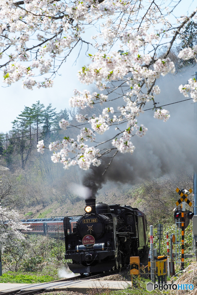 回想 SLばんえつ物語  -桜待つ川吉踏切-