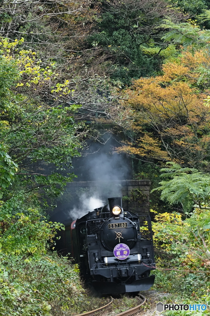 トンネル飛び出し