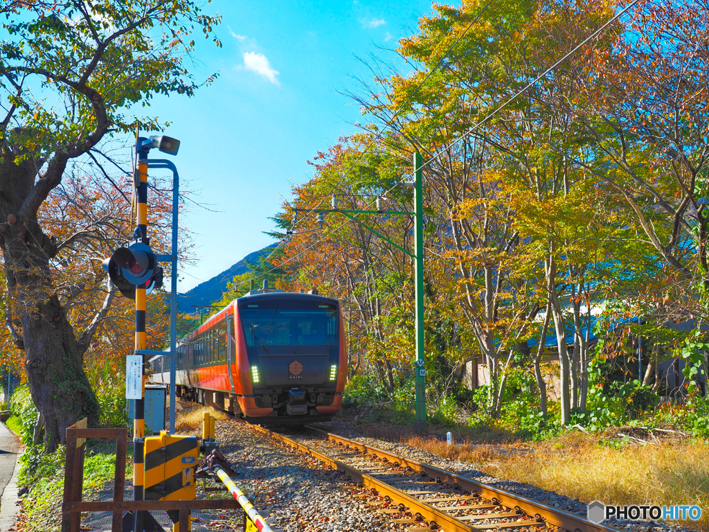 紅葉列車