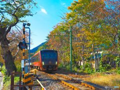 紅葉列車