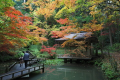紅葉散策  