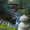 玉の橋