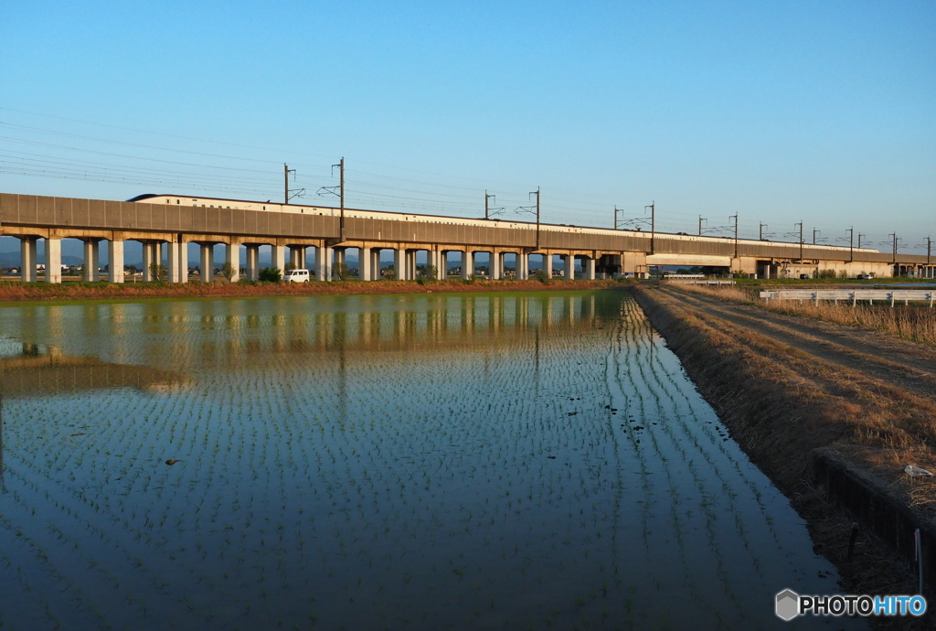 田植えが始まりました