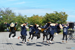 飛んで～ 影落とす！