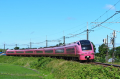 青空とピンク電車