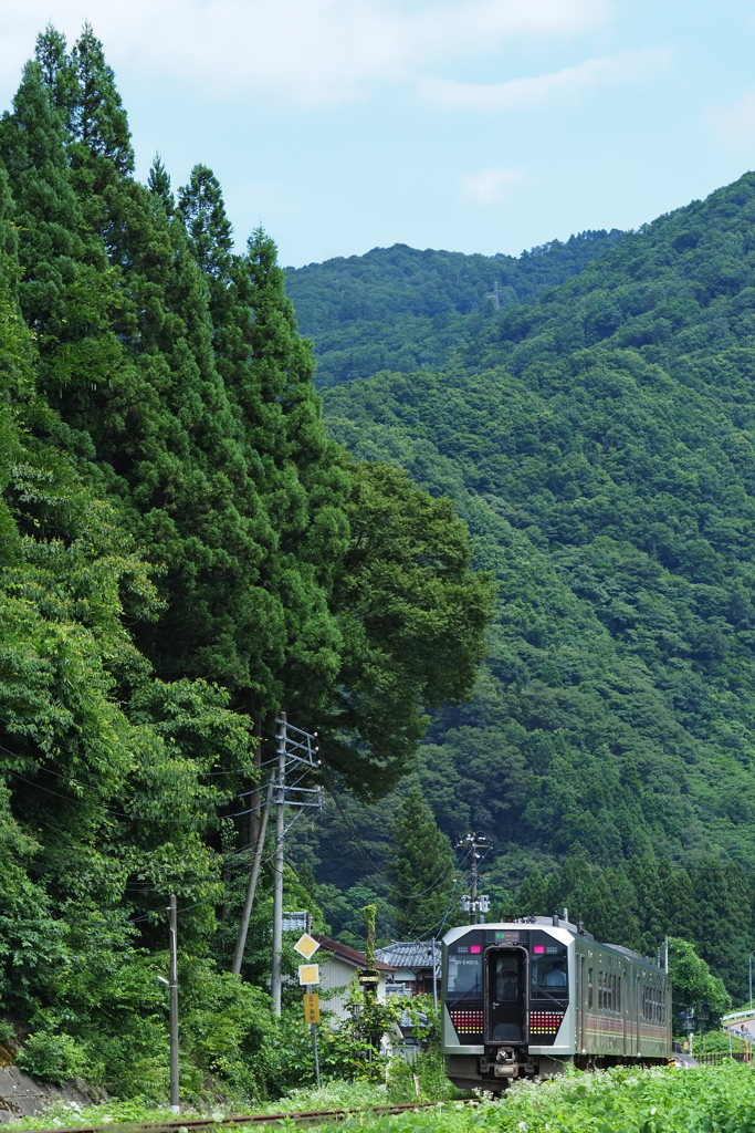 山里往く電気式気動車  
