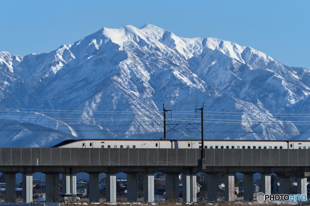 冠雪の粟ケ岳と上越新幹線