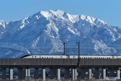 冠雪の粟ケ岳と上越新幹線