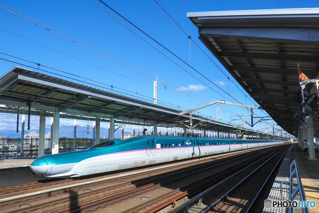 E5系 東北新幹線  