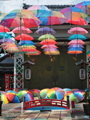 恵みの雨まで後5日