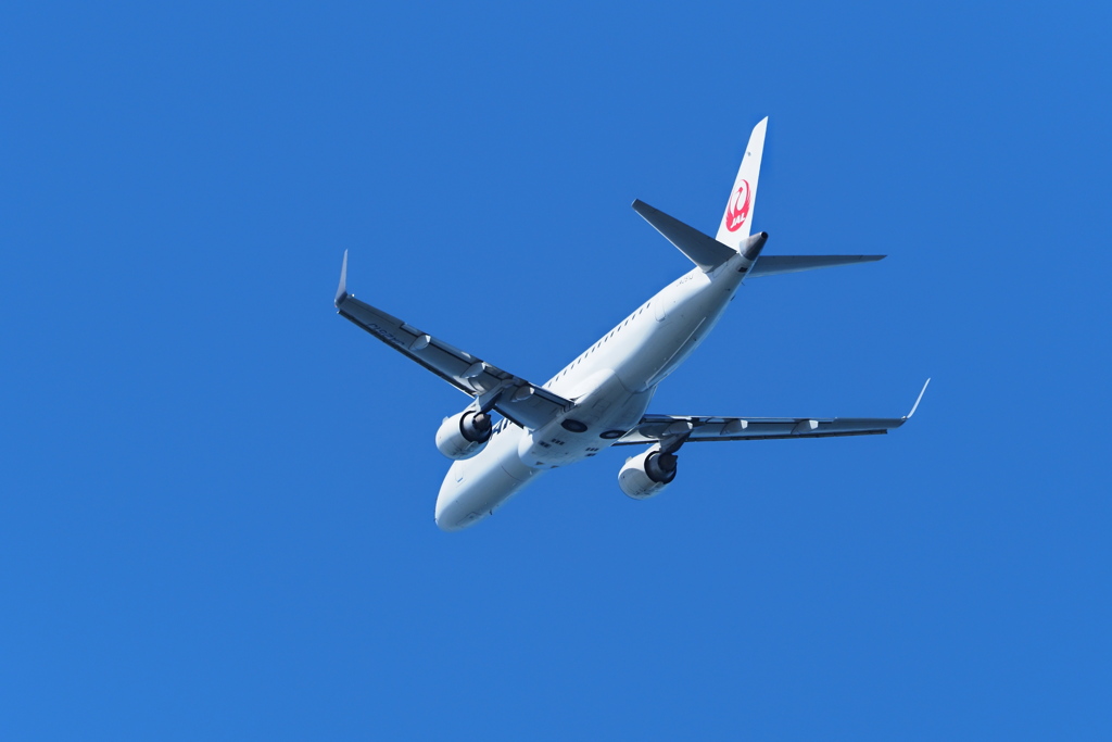 JAL2244便