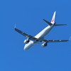 JAL2244便