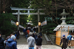 弥彦神社参道