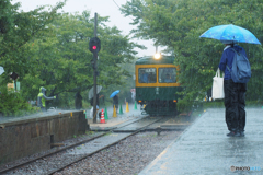 走れ！ かぼちゃ電車…土砂降り