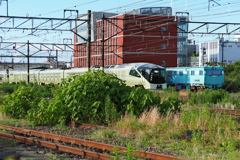 四季島…新津駅出発 