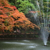 池のほとりで・・・