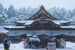 小雪舞う初詣