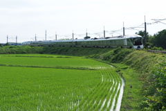 回送四季島…佐々木のカーブ