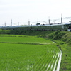 回送四季島…佐々木のカーブ