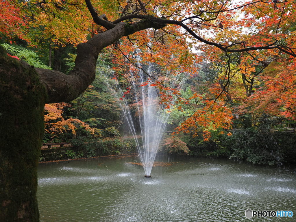 噴水と紅葉