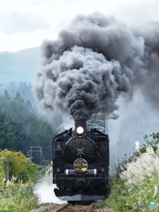 秋を行く 秋を行く