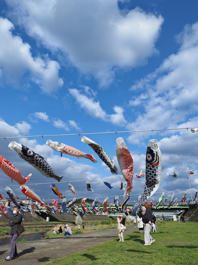 鯉のぼり…❹